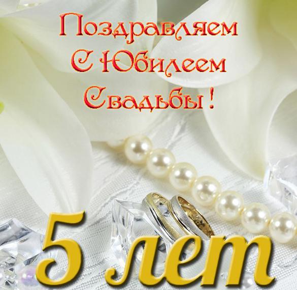 Скачать бесплатно Поздравление с пятилетием свадьбы в открытке на сайте WishesCards.ru