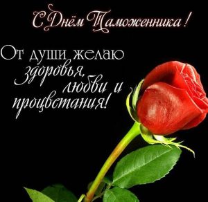 Скачать бесплатно Поздравление в картинке на день таможенника на сайте WishesCards.ru