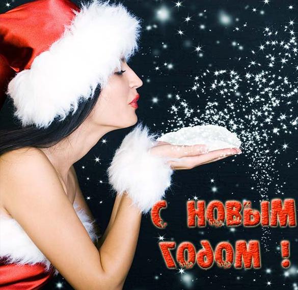 Скачать бесплатно Поздравление в картинке на Новый год на сайте WishesCards.ru