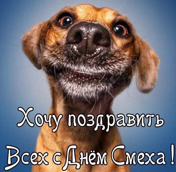 Скачать бесплатно Поздравление в картинке с днем смеха всех хочу поздравить на сайте WishesCards.ru