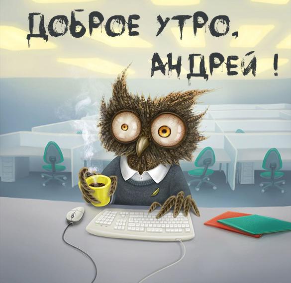 Скачать бесплатно Пожелание доброе утро Андрей в картинке на сайте WishesCards.ru