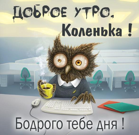 Скачать бесплатно Пожелание доброе утро Коленька в картинке на сайте WishesCards.ru