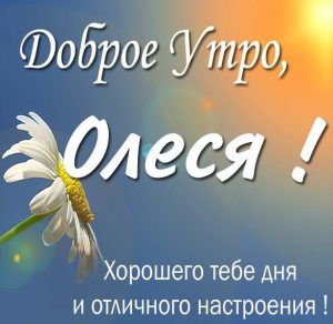 Скачать бесплатно Пожелание доброе утро Олеся в картинке на сайте WishesCards.ru