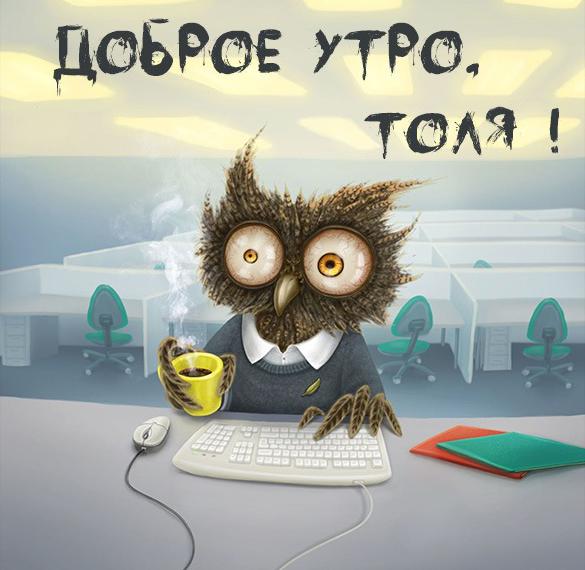 Скачать бесплатно Пожелание доброе утро Толя в картинке на сайте WishesCards.ru