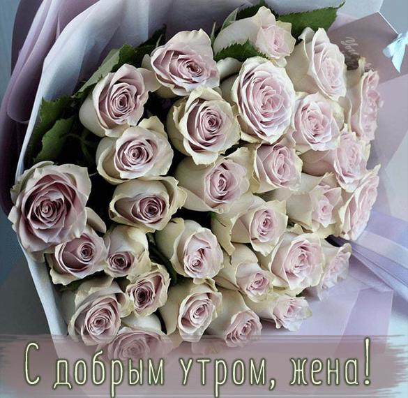Скачать бесплатно Пожелание жене с добрым утром в картинке на сайте WishesCards.ru