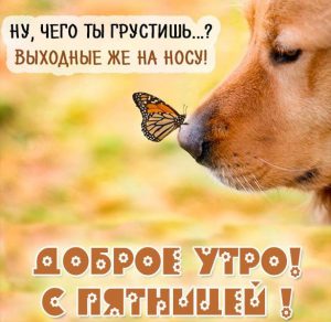 Скачать бесплатно Позитивная картинка доброе утро с пятницей на сайте WishesCards.ru