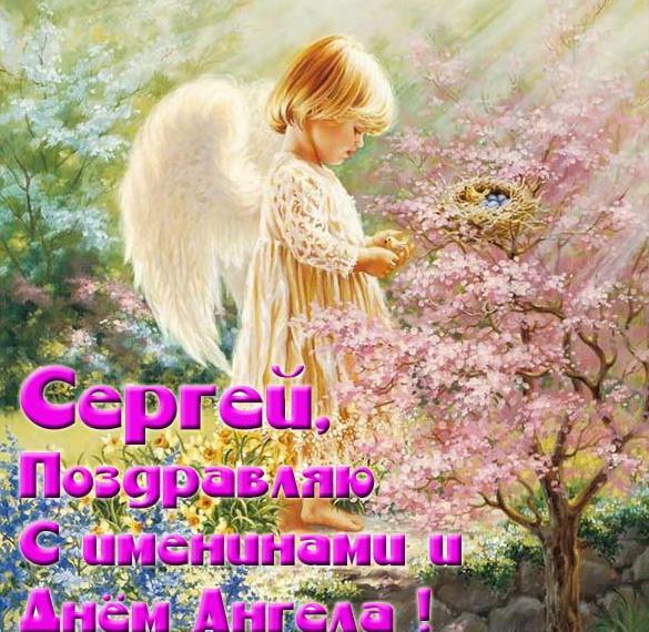 Скачать бесплатно Прекрасная картинка с днем имени Сергей на сайте WishesCards.ru