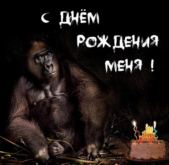 Скачать бесплатно Прикол в картинке с днем рождения меня на сайте WishesCards.ru