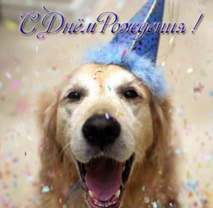 Скачать бесплатно Прикольная бесплатная электронная открытка с днем рождения девушке на сайте WishesCards.ru