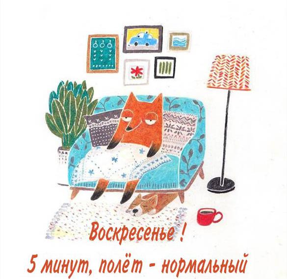 Скачать бесплатно Прикольная бесплатная картинка про воскресенье для поднятия настроения на сайте WishesCards.ru