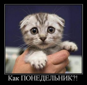 Скачать бесплатно Прикольная бесплатная картинка с понедельником на сайте WishesCards.ru