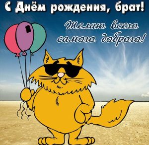 Скачать бесплатно Прикольная бесплатная открытка с днем рождения брату на сайте WishesCards.ru
