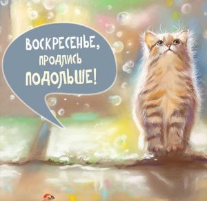 Скачать бесплатно Прикольная бесплатная воскресная картинка на сайте WishesCards.ru