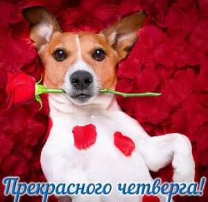 Скачать бесплатно Прикольная электронная открытка с четвергом на сайте WishesCards.ru