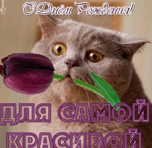 Скачать бесплатно Прикольная электронная открытка с днем рождения девушке на сайте WishesCards.ru