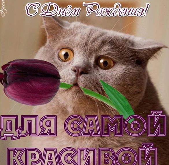 Скачать бесплатно Прикольная электронная открытка с днем рождения девушке на сайте WishesCards.ru
