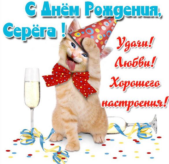 Скачать бесплатно Прикольная электронная открытка с днем рождения Серега на сайте WishesCards.ru