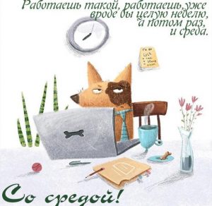 Скачать бесплатно Прикольная электронная открытка со средой на сайте WishesCards.ru