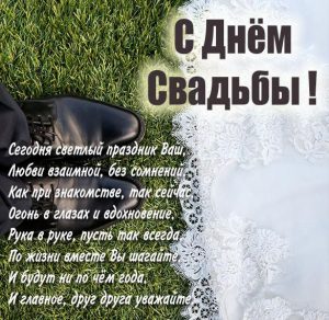 Скачать бесплатно Прикольная фото картинка на свадьбу на сайте WishesCards.ru