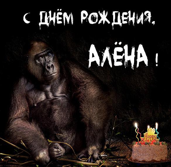 Скачать бесплатно Прикольная Фото картинка с днем рождения Алена на сайте WishesCards.ru