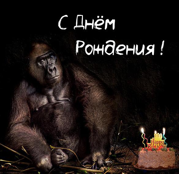 Скачать бесплатно Прикольная фото картинка с днем рождения женщине на сайте WishesCards.ru