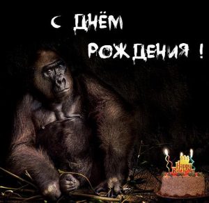 Скачать бесплатно Прикольная фото открытка с днем рождения мужчине на сайте WishesCards.ru