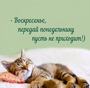 Скачать бесплатно Прикольная и смешная картинка про воскресенье для поднятия настроения на сайте WishesCards.ru