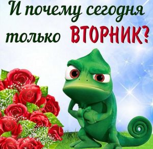 Скачать бесплатно Прикольная и смешная картинка про вторник на сайте WishesCards.ru