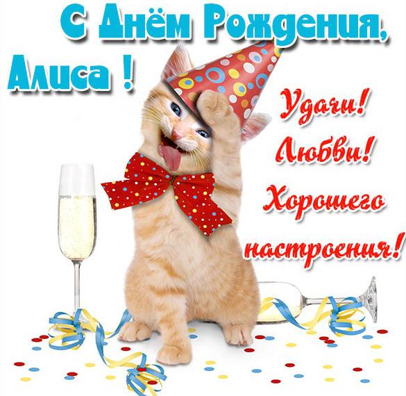 Скачать бесплатно Прикольная картинка Алиса с днем рождения на сайте WishesCards.ru