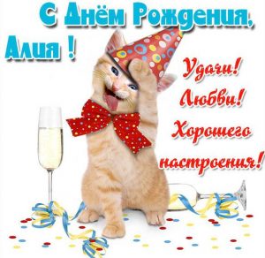 Скачать бесплатно Прикольная картинка Алия с днем рождения на сайте WishesCards.ru