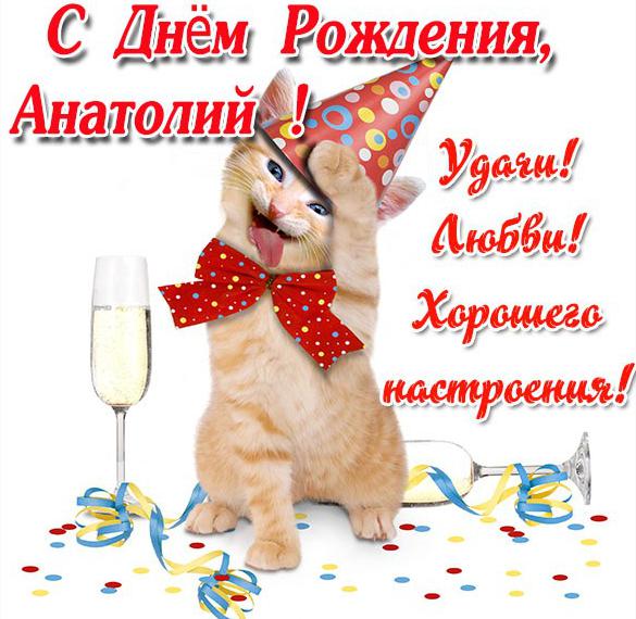 Скачать бесплатно Прикольная картинка Анатолий с днем рождения на сайте WishesCards.ru