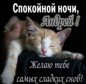 Скачать бесплатно Прикольная картинка Андрей спокойной ночи на сайте WishesCards.ru