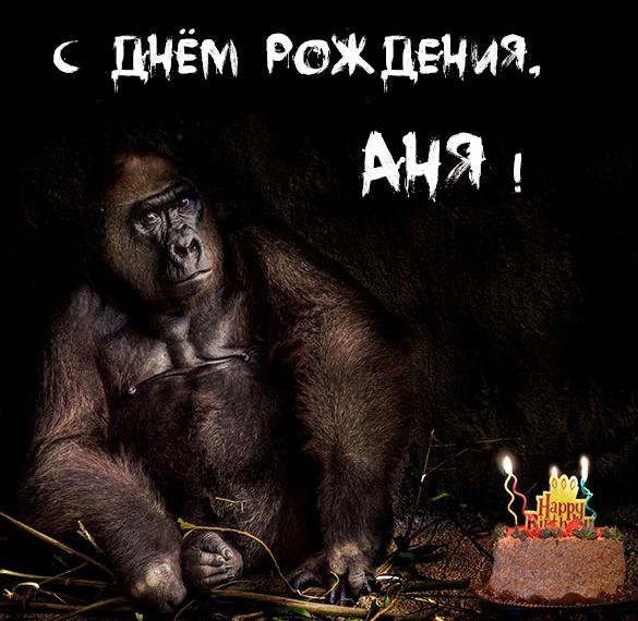Скачать бесплатно Прикольная картинка Аня с днем рождения на сайте WishesCards.ru