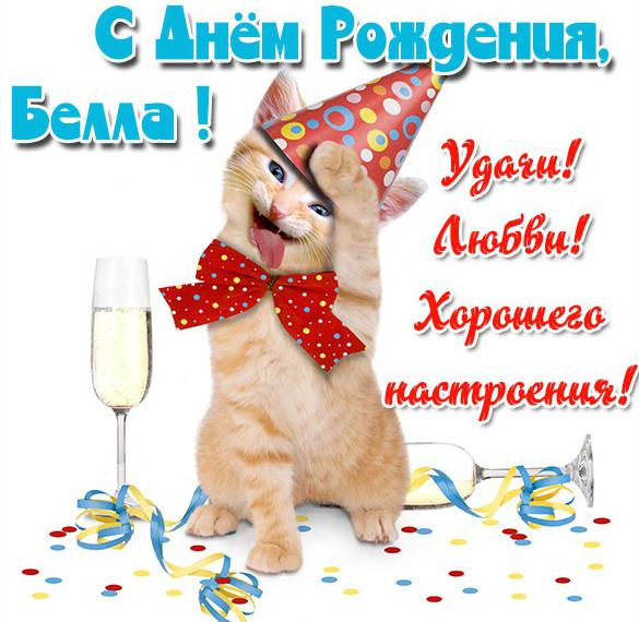 Скачать бесплатно Прикольная картинка Белла с днем рождения на сайте WishesCards.ru