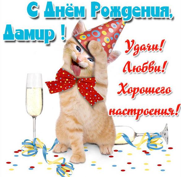 Скачать бесплатно Прикольная картинка Дамир с днем рождения с поздравлением на сайте WishesCards.ru