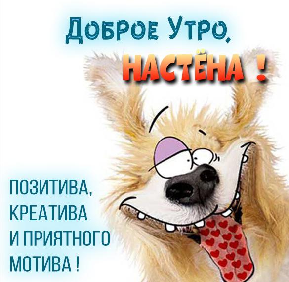 Скачать бесплатно Прикольная картинка доброе утро Настя на сайте WishesCards.ru