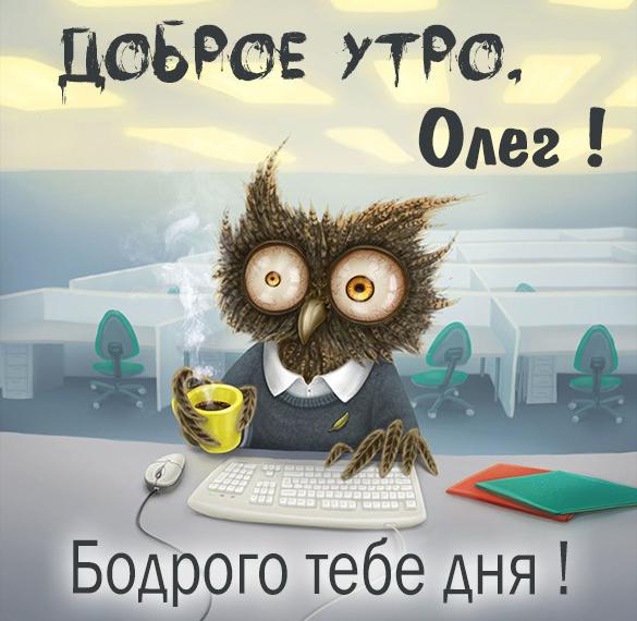 Скачать бесплатно Прикольная картинка доброе утро Олег на сайте WishesCards.ru