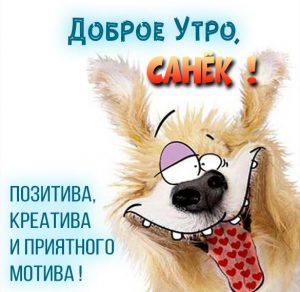 Скачать бесплатно Прикольная картинка доброе утро Саша на сайте WishesCards.ru