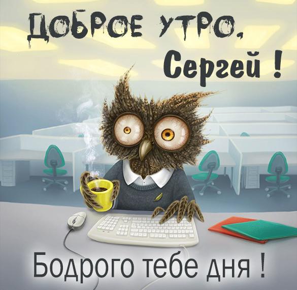 Скачать бесплатно Прикольная картинка доброе утро Сергей на сайте WishesCards.ru
