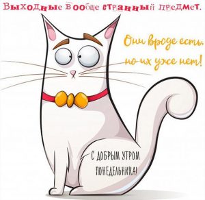Скачать бесплатно Прикольная картинка друзьям с добрым утром в понедельник на сайте WishesCards.ru