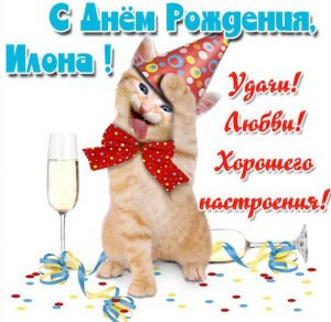 Скачать бесплатно Прикольная картинка Илона с днем рождения на сайте WishesCards.ru