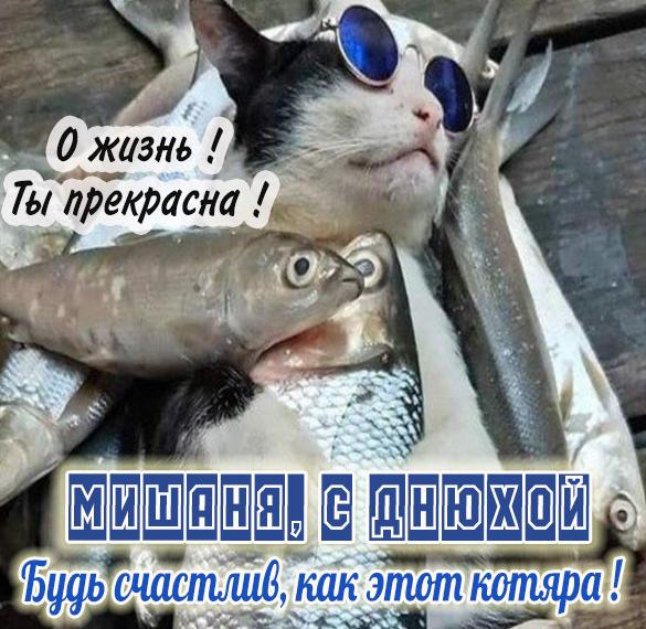 Скачать бесплатно Прикольная картинка Мишаня с днюхой на сайте WishesCards.ru