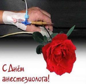 Скачать бесплатно Прикольная картинка на день анестезиолога на сайте WishesCards.ru