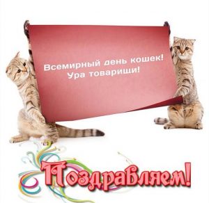 Скачать бесплатно Прикольная картинка на день кошек на сайте WishesCards.ru