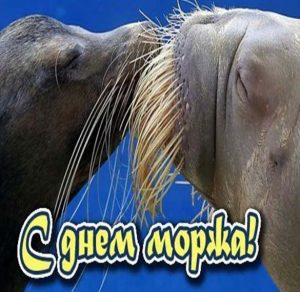 Скачать бесплатно Прикольная картинка на день моржа на сайте WishesCards.ru