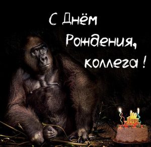Скачать бесплатно Прикольная картинка на день рождения коллеге на сайте WishesCards.ru