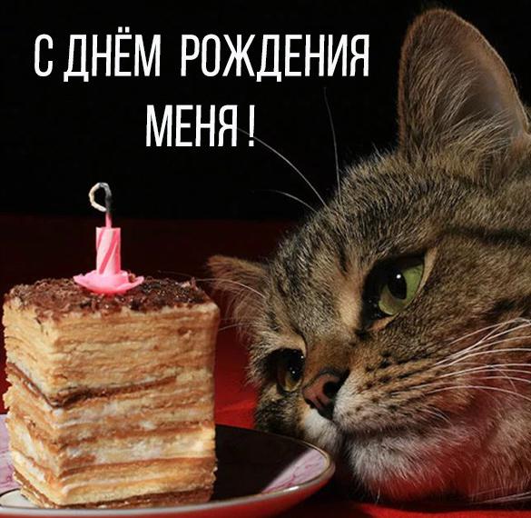 Скачать бесплатно Прикольная картинка на день рождения себе на сайте WishesCards.ru