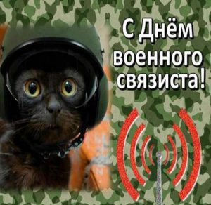 Скачать бесплатно Прикольная картинка на день военного связиста на сайте WishesCards.ru