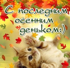 Скачать бесплатно Прикольная картинка на последний день осени на сайте WishesCards.ru