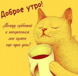 Скачать бесплатно Прикольная картинка на субботу с надписью доброе утро на сайте WishesCards.ru